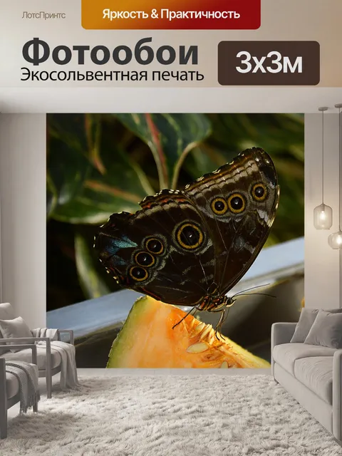 Фотообои Бабочка