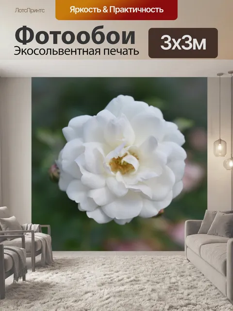 Фотообои Flower