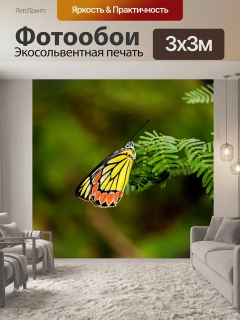Фотообои Бабочка