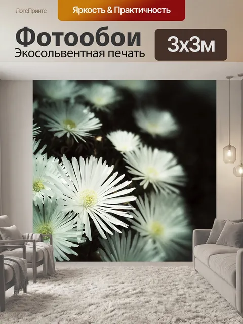Фотообои Цветы