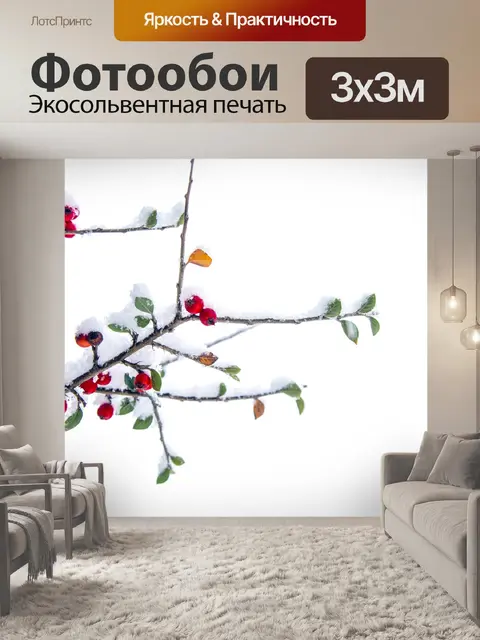 Фотообои Красные ягоды