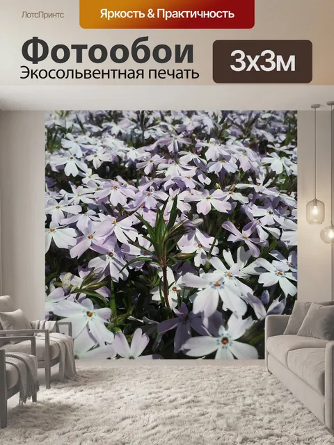 Фотообои Цветы