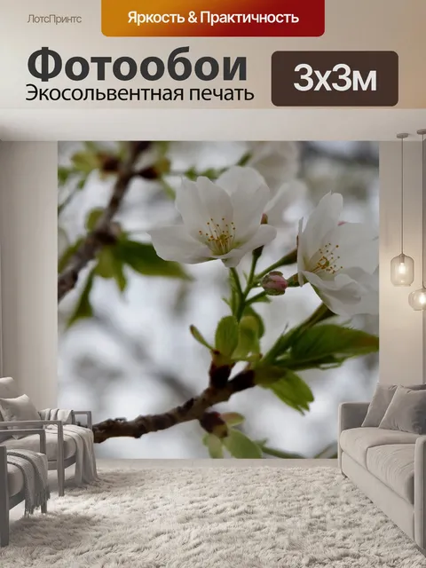 Фотообои Цветы