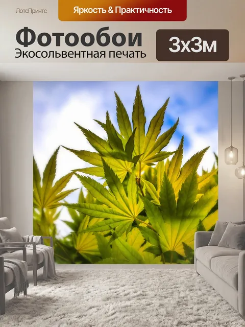 Фотообои Листья