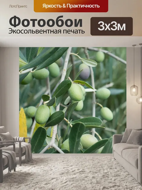 Фотообои Оливковый