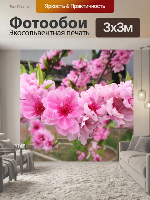 Фотообои Цветение персика