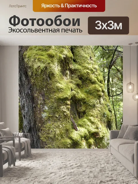 Фотообои Тропический лес
