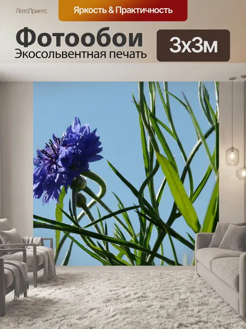 Фотообои Василек