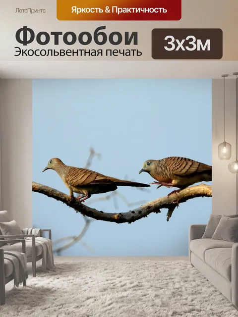 Фотообои Птицы
