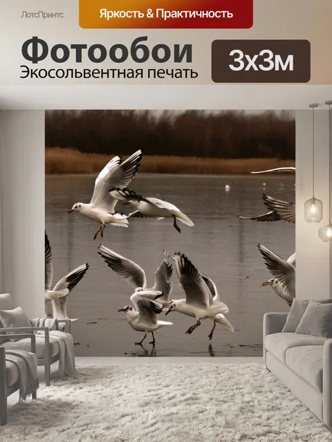 Фотообои Чайки Летающие Воды Фото