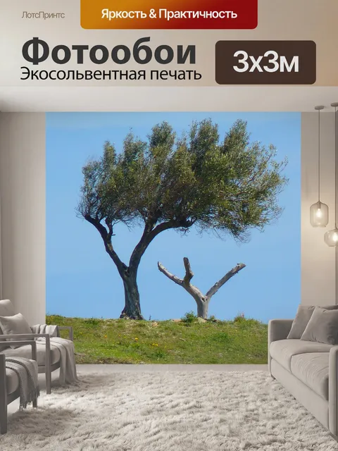 Фотообои Дерево