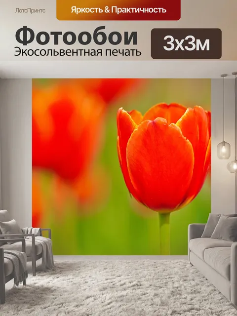 Фотообои Цветы