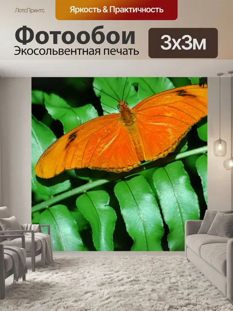 Фотообои Бабочка в саду