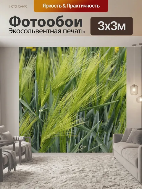 Фотообои Природа