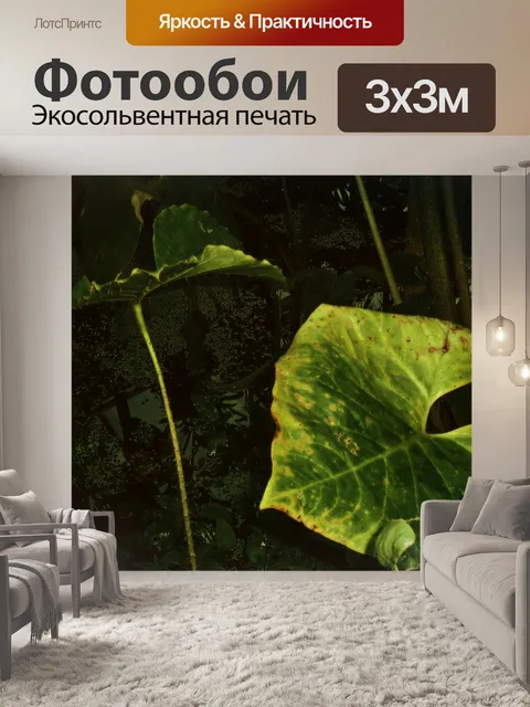 Фотообои Джунгли