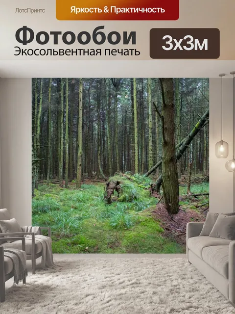 Фотообои лес