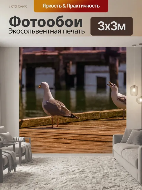 Фотообои Порт