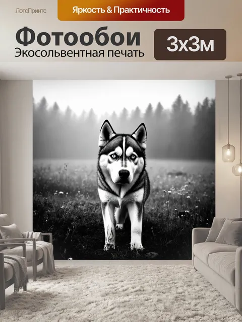 Фотообои уютный луг, укрытый утренним туманом, на котором хаски, с суровым выражением, осматривает окрестности, будто…