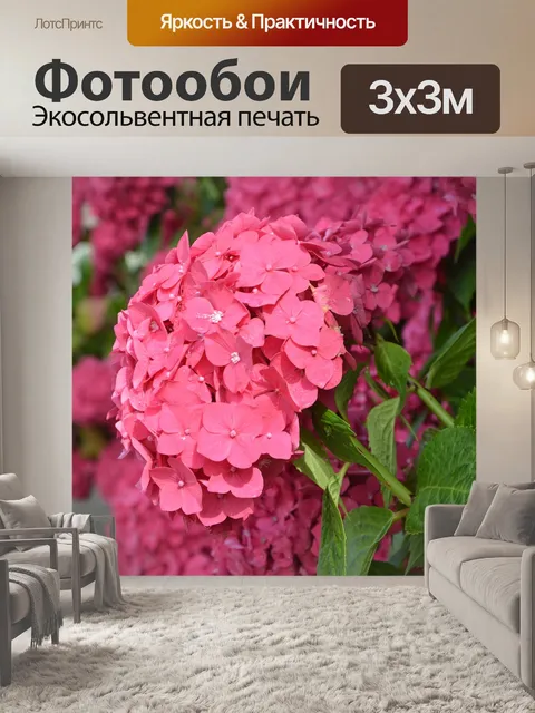 Фотообои Красные цветы