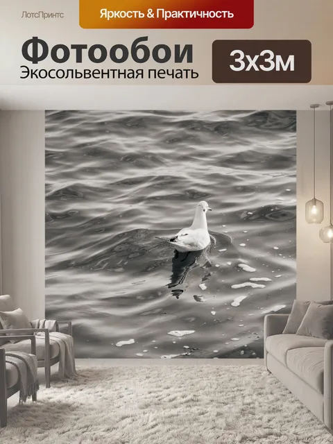 Фотообои Чайка на воде