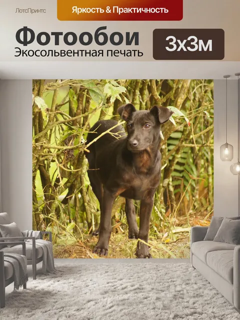 Фотообои Пейзаж