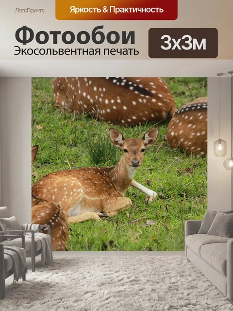 Фотообои Олень