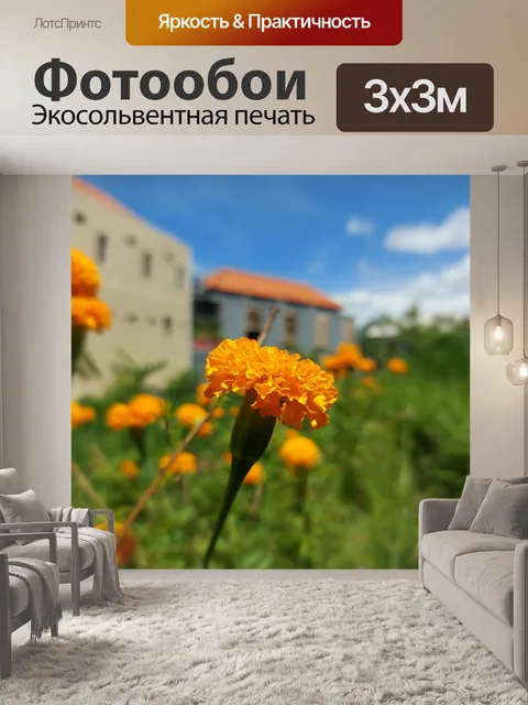Фотообои Природа