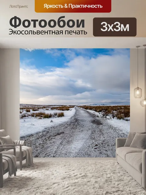 Фотообои Снегоуборочное