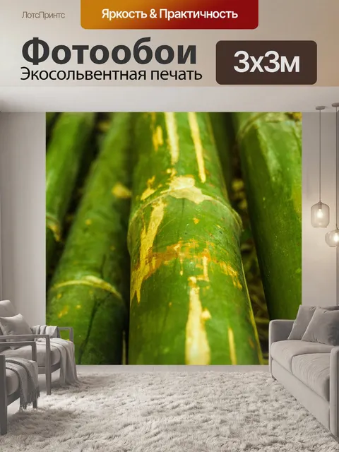 Фотообои Бамбуковый лес природа фон