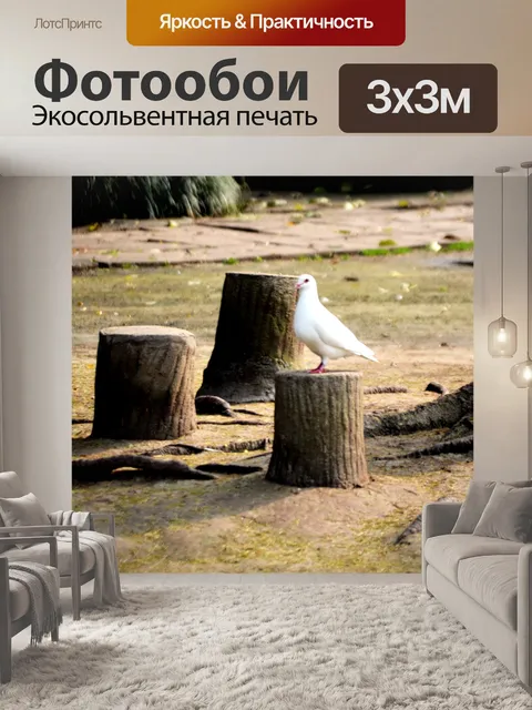 Фотообои Белый голубь
