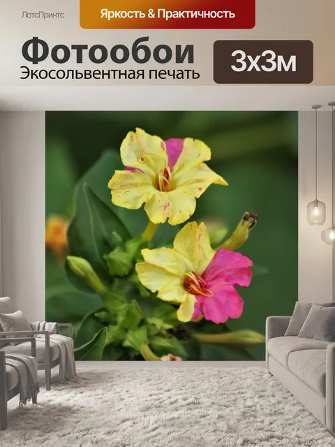 Фотообои Четыре часа цветов крупным планом
