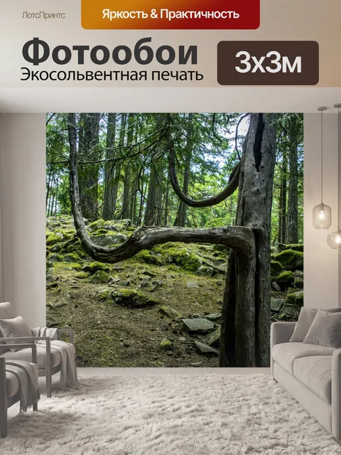 Фотообои Дерево