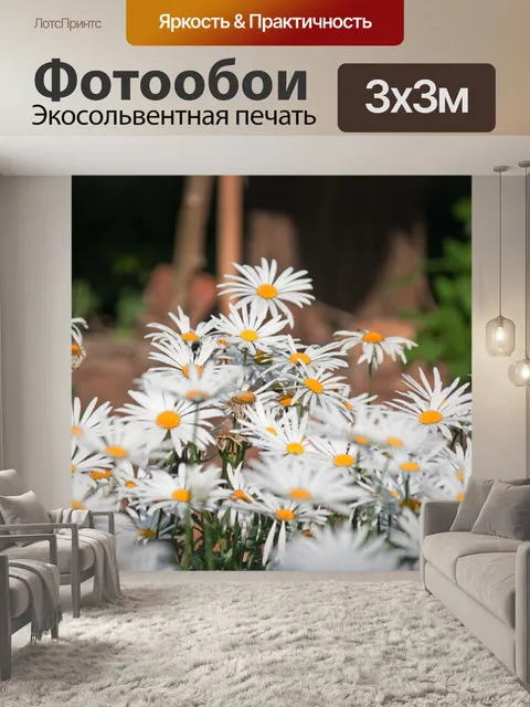 Фотообои белые ромашки шаста в саду