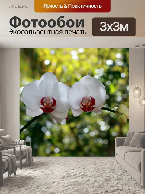 Фотообои Орхидея