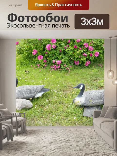 Фотообои Декоративные дрофы 1