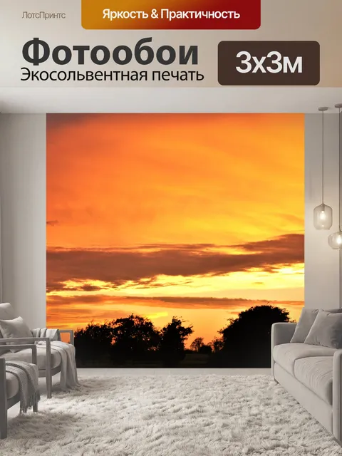 Фотообои Драматический летний закат