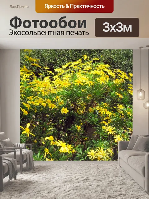 Фотообои ярко-желтые маргаритки