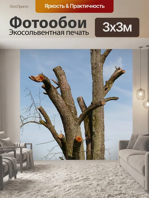 Фотообои Дерево
