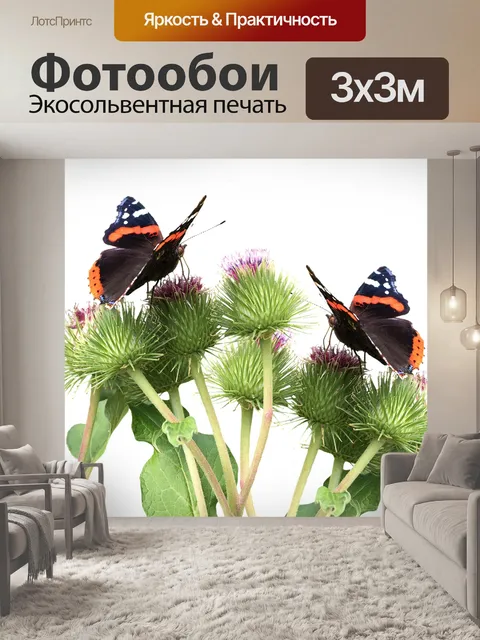 Фотообои Бабочки