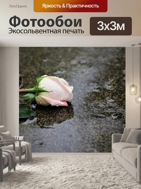 Фотообои Розовые розы в дождь