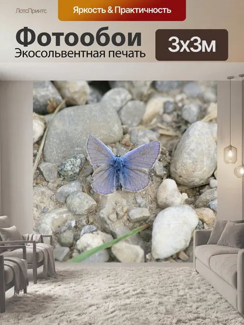 Фотообои Камни