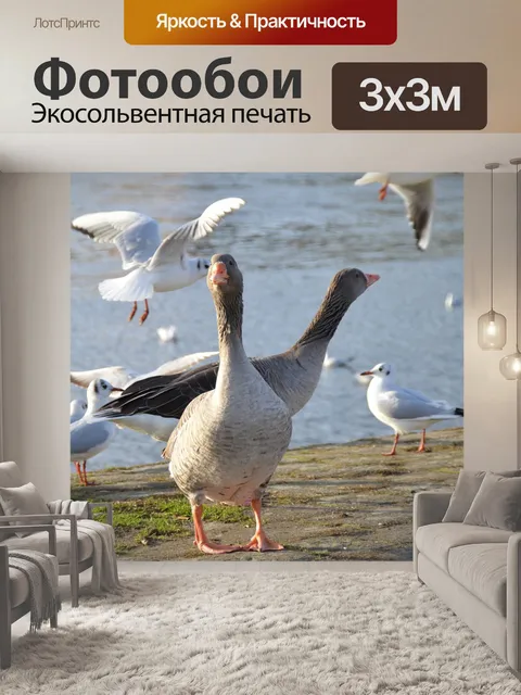 Фотообои Поток