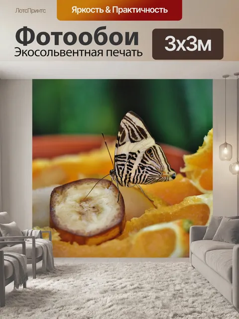 Фотообои Бабочка
