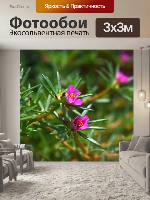 Фотообои Розовые маленькие цветы