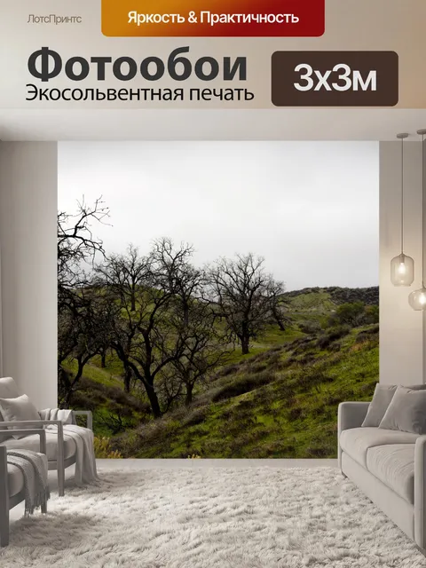 Фотообои Луг