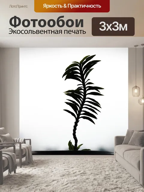 Фотообои Тропический