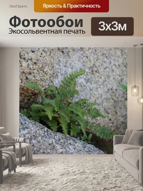 Фотообои Папоротники