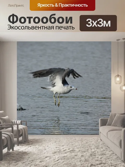 Фотообои Животное