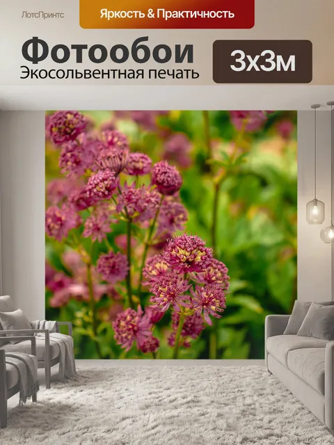 Фотообои Цветы