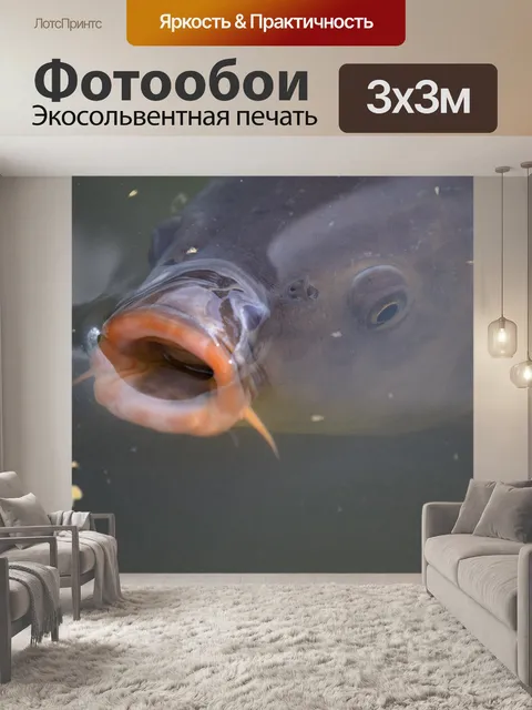 Фотообои Рыбы